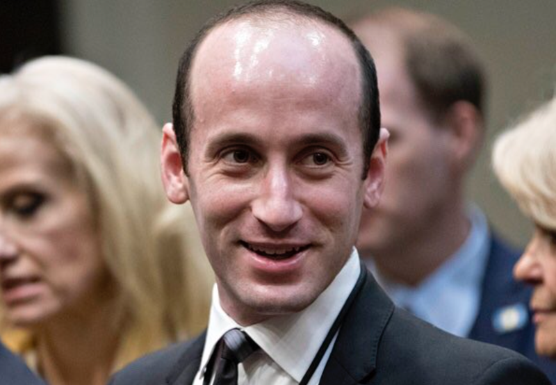 Illustration for article titled Stephen Miller Should've Gone to a Black Barber, Instead He Sprayed-Painted His Scalp With White Man Bigen
